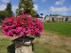 Bicton Park Wallpaper