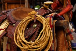 Shackerstone Festival Wallpaper