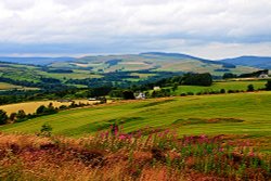 Landscape near Selkirk Wallpaper