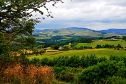 Selkirk Landscape Wallpaper