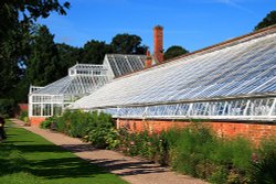 Victorian Greenhouse at Clumber Park Wallpaper