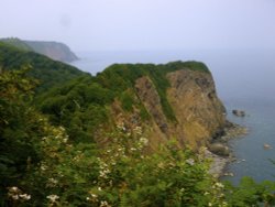 Coastal cliffs near Clovelly Wallpaper