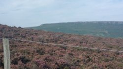 Over the heather to Stanage