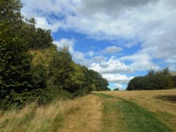 Cawston Grange Wallpaper