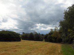 Cawston Grange Wallpaper