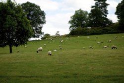 The Cotswolds Wallpaper