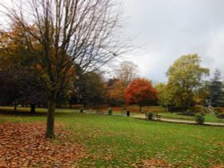 Caldecott Park in Autumn, Rugby Wallpaper