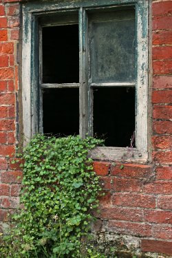 Breaking Out, Calke Abbey
