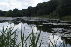 Lound Lakes Wallpaper