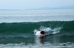 Body surfing at Llandanwg beach. Wallpaper