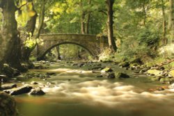 Rivelin Valley Wallpaper