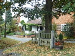 The stocks, Thurlaston Wallpaper