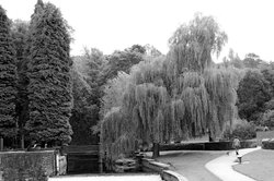 Rivelin Valley Wallpaper