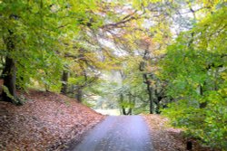 The Goyt Valley Wallpaper