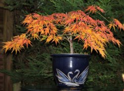 The Time of Colour Wallpaper