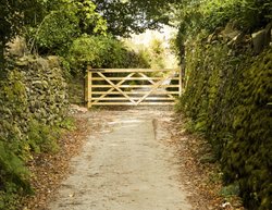 Sweden Bridge Road Wallpaper