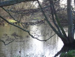 The Thames, Oxford Wallpaper