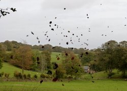 Quantock Hills Wallpaper