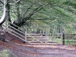 Quantock Hills Wallpaper