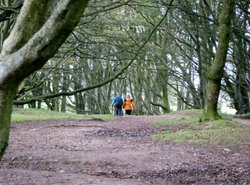 Quantock Hills Wallpaper