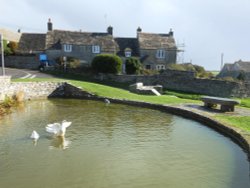 Duckpond, Worth Matravers Wallpaper