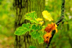 Kingsbury Water Park Wallpaper