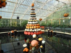 Pumpkin Display, Kew Gardens