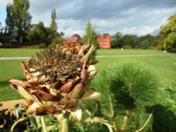 Kew Gardens Wallpaper