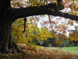 Kew Gardens Wallpaper