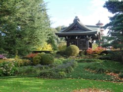 Japanese Garden, Kew Gardens Wallpaper