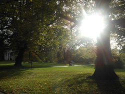 Kew Gardens Wallpaper