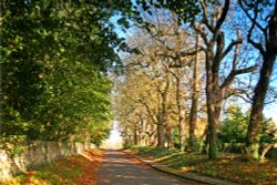 Tickencote Wallpaper