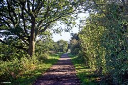 Stour Valley Autumn Wallpaper