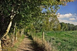 Stour Valley Autumn Wallpaper