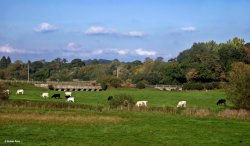 Stour Valley Autumn Wallpaper