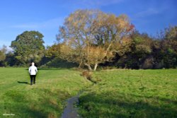 Stour Valley Autumn Wallpaper