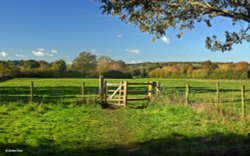 Stour Valley Autumn Wallpaper