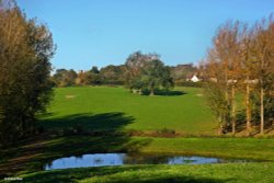 Stour Valley Autumn Wallpaper