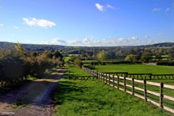 Stour Valley Autumn Wallpaper