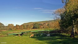 Stour Valley Autumn Wallpaper