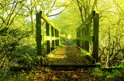 Kingsbury Water Park Wallpaper