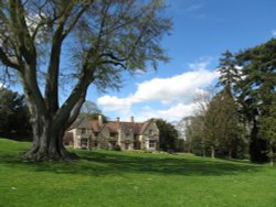Rushden Hall Park Wallpaper