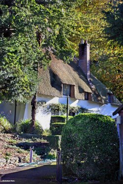 Milton Abbas, Dorset.