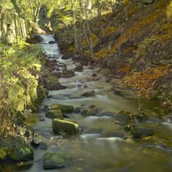 Lumsdale Waterfall, Matlock, Derbyshire Wallpaper