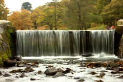 Bradgate Park Wallpaper