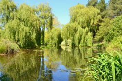 Gooderstone Water gardens Wallpaper