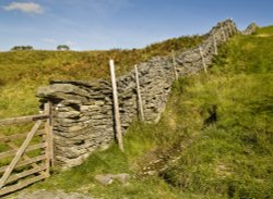 Skelghyll 8 dry stone wall Wallpaper