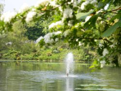 Pond at Bletchley Park Wallpaper