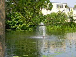 Water fountain at Bletchley Park Wallpaper