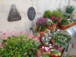 Flowers, Kew Gardens Wallpaper